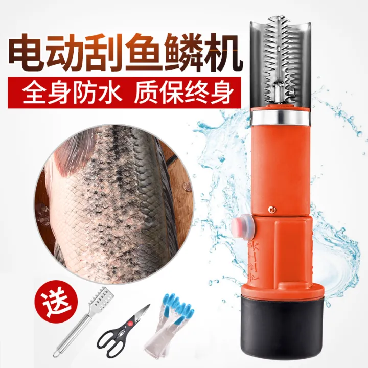 Electric scale scraper, automatic fish killing tool, scale scraper