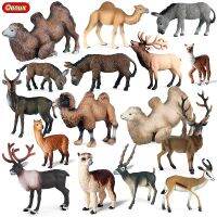 【LZ】☜♣  Oenux-Wild Animals Toy Simulação para Crianças Action Figures Modelo PVC Decoração Presente Camelo Deserto Burro Alpaca Antílope Alce Veado