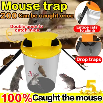 Shop Rat Traps Mouse Bucket Trap Catch Bait Mouse Trap Mouse Trap For Big  Rat with great discounts and prices online - Dec 2023