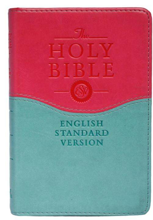 Holy Bible English Standard Version Pink Lazada Ph