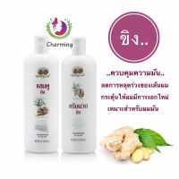 อภัยภูเบศร แชมพู / ครีมนวด ขิง 300 ml