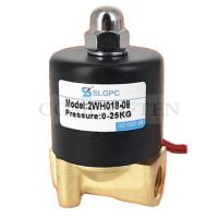 【hot】❡☫  G1/4  High-Pressure Solenoid Closed Air 2.5Mpa AC220V DC24V SLGPC