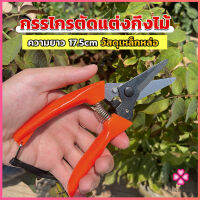 Missyou กรรไกรแต่งกิ่งไม้ เหล็กคาร์บอน สำหรับใช้ในสวน ด้ามกระชับมือ garden shears