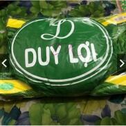 Lưới Võng Xếp Duy Lợi + Gối Cỡ Lớn Loại 18 Lỗ - Không Kèm Khung