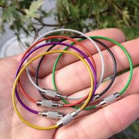 Colorful EDC Keychain Stainless Steel Carabiner Key Holder Outdoor Tools Wire Keyrings Cable Rope Screw Locking Key Chain