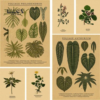 Vintage Botanical ภาพประกอบโปสเตอร์พิมพ์ภาพวาด-พืชที่สวยงาม Leaf ดอกไม้คราฟท์ผ้าใบ Wall Art สำหรับ Home Room, Bar,และ Cafe Decor