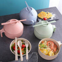 5-piece set of cute noodle bowl with lid handle cutlery spoon fork chopsticks wheat straw Japanese soup bowl