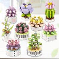 Block City DIY Potted Plants Succulents Cactus Gypsophila Bonsai Tree Gardens Romantic Building Blocks Model Kids Sets Kits Toys