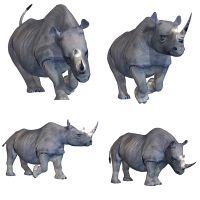 bjh❒۩✵  Ratels  QC482 rhinoceros wall Stickers Anime