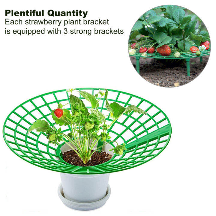 Strawberry Plant Support 【High Quality】1 Pack Strawberry Supports Plant
