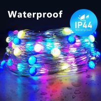 10M 20M Christmas Wedding Party Decoration Light WS2812B SK6812 Pixels RGB LED Fairy String Addressable Individually USB DC5V