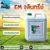 จุลินทรีย์ EM