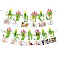 BA193 Mexico Summer Party Cactus Alpaca Animals Design Photo Display Banner for Kids Party Happy Birthday Party Banner Banners Streamers Confetti