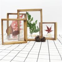 【CW】 sided Glass Photo Frame Sided Specimen Set up for Business