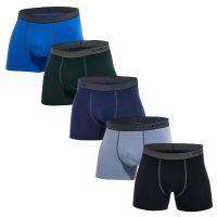 5pcs Pack 2023 Men Panties Cotton Underwear Male Brand Boxer And Underpants For Homme Lot Luxury Set Sexy Shorts Gift Slip Sale