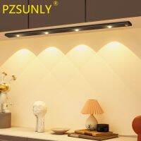 PZSUNLY LED Night Light USB Motion Sensor Wireless Ultra Thin LED Wine cooler Light For Kitchen Cabinet Wardrobe Indoor Lighting Ceiling Lights