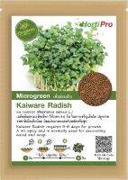 เมล็ดต้นอ่อนทานผัก Microgreen Kaiware Redish บรรจุ 10 กรัม