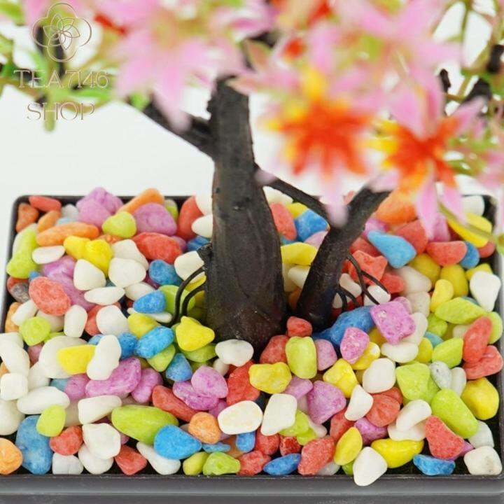 TEA7146 1 kg Cat Litter for Aquarium,Vase,Bonsai Decorative Natural Mix