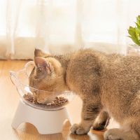 Pet Cat Bowl Transparent Plastic Raised Stand Feeding Double Bowl Pet Food Water Feeder Bowl 15 Degree Tilted Design Neck Guard