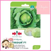 เมล็ดพันธุ์กะหล่ำปลี ไจแอนท์ F1 ศรแดงCABBAGE SEEDS SORNDAENG GIANT F1 **หมดแล้วหมดเลย**