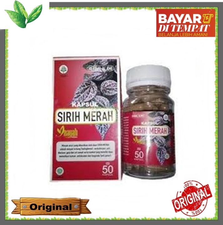 Kapsul Sirih Merah Inayah 50 Kapsul Daun Sirih Lazada Indonesia 5693