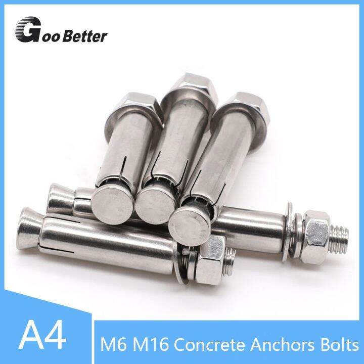 M6 M8 M10 M12 M14 M16 Expansion Screw Wedge Anchor Through Bolts A4 316