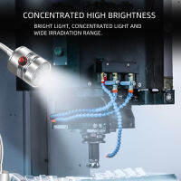 แสงทำงาน Super Bright แสงที่ชัดเจน110-220V 5W LED ปรับคอปลั๊กไฟฐานคงที่สามารถปรับแต่งได้