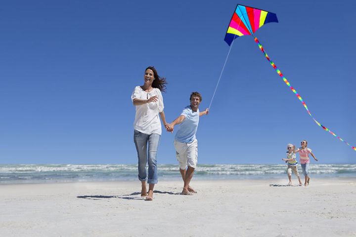 cw-best-large-delta-kite-with-tail-perfect-for-relaxing-of-fun-at-the-beach-give-it-a-try-good-flying-that-you-will-love-it