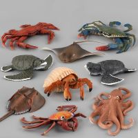 Sea Lifesสัตว์จำลองปูเสฉวนรุ่นFigurinesของเล่นOctopus Tortoise Earlyการศึกษาตุ๊กตาของขวัญเด็ก