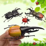 DFDRFGFD Teaching Aids Trick Props Beetle Figures Joke Toys Insect Toy