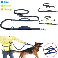 Hands Free Pet Dog Lead Walking Running Belt Jogging Waist Pet Leads Tranning Leash Outdoor Adjustable Elastic Belt Leashes