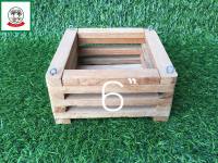 กระเช้ากล้วยไม้ทรงสี่เหลี่ยม 6 นิ้ว/ Square Orchids basket 6 inch