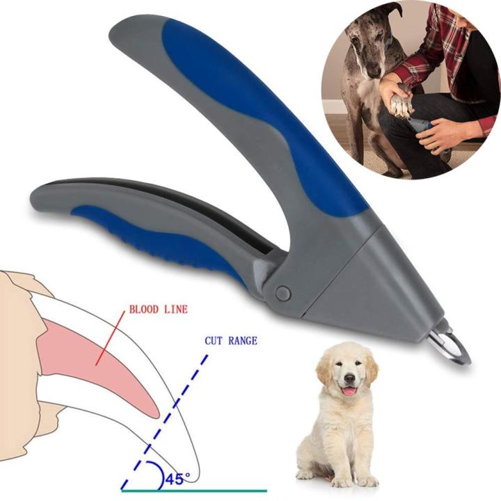 TX 【COD&In Stock】Dog Nail Clippers, Professional Stainless Pets Nail  Clippers and Trimmer Suitable for Small to Large Dogs Cats Free Ship Cheap  Price | Lazada