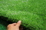 HCMThảm cỏ nhân tạo 2cm x 2 mét x 1 mét loại đẹp sử dụng bền bỉ thoát nước