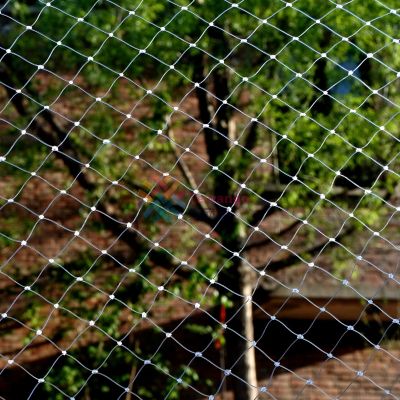 2.5CM Grid Transparent White Nylon Anti-Bird Screen Vineyard Fruit Trees Garden Protective Netting Agricultural Safety Cover