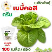 *ส่งด่วน* เมล็ดพันธุ์ กรีน เบบี้คอส (Green Baby Cos) กรีน มินิคอส Seed ปลูกผัก สลัด เมล็ดผัก เมล็ดพืช [1 ซอง 100 เมล็ด]