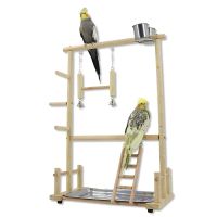 Solid Wood Parrot Stand Playground with Ladder Swing Bird Accessories Playgym For Bird Perches Wood Stands Hanging Chew Bird Toy