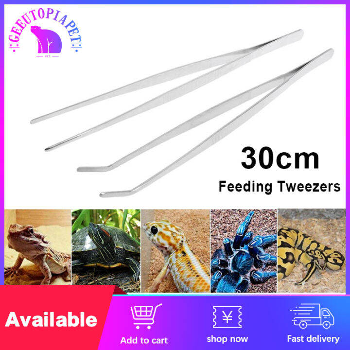 30cm Stainless Steel Feeding Tongs Reptile Feeding Tweezers Long Handle