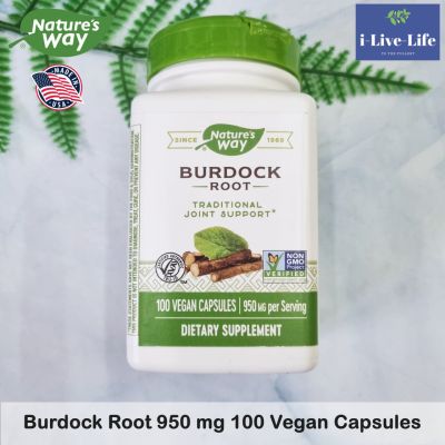 อาหารเสริม รากเบอร์ด็อก เบอร์ดอค รากหญ้าโกโบ บำรุงข้อต่อ Joint Support Burdock Root 950 mg 100 Vegan Capsules - Natures Way
