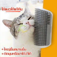 แปรงนวดสัตว์เลี้ยง แปรงนวดแมว แปรงสำหรับแมว แปรงนวดขนแมว Cat massage brush ติดมุม หวีขนสัตว์เลี้ยง แปรงอาบน้ำ สุนัข หมา แปรงหวีขนสำหรับสัตว์