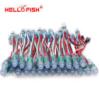 Hello Fish 12mm WS2811 Full Color Pixel Module DC5V IP68 Waterproof Point Lights For Advertisement 50pcs lot Free Shipping