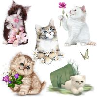 Three Ratels CM42 Pastoral style cute cat home decoration wall stickers toilet decals kids gifts