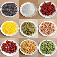 40g Simulation Whole Grains DECOR  Plastic Grains Ornament Coffee Beans Artificial Rice FAKE Raisin Model Home mini food  SIMUL Nails Screws Fasteners