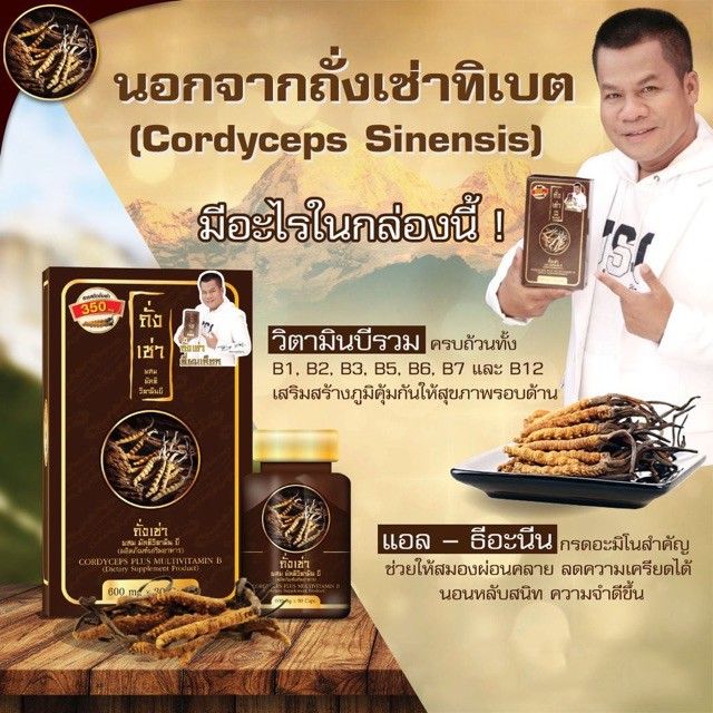 3-กล่อง-flash-sale-ถั่งเช่า-ยิ่งยง-cordyceps-plus-multi-vitamin-b-ถั่งเช่า-มัลติ-วิตามินบี-3-กล่อง-90-แคปซูล