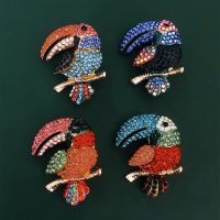 【CW】 Muylinda Rhinestone Brooch Pins Costume Pin Jewelry Broach Accessories