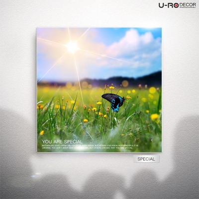 U-RO DECOR  รุ่น SPECIAL ภาพพิมพ์ ขนาด 70x70ซม.