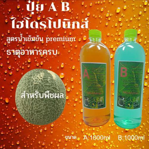 ปุ๋ย-ab-ไฮโดโปรนิกส์-สำหรับเมล่อน-หรือพืชกินผล-แตงโม-แตงกวา-ชนิดนํ้า-ขนาด1000ml-a-1-ลิตร-b-1ลิตร