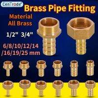 ▼⊕☃ Brass Hose Fitting 6/8/10/12/14/16/19/25mm Barb Tail 1/2 3/4 BSP Male Female Thread Copper Connector Coupler Brass Fittings