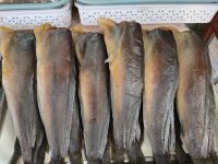 ปลาดุก ปลาดุกร้า ปากพนัง สด สะอาด อร่อย เค็มน้อย แพ็คละ 3-4 ตัว (หนัก 300-400g ตามขนาดตัวปลา)