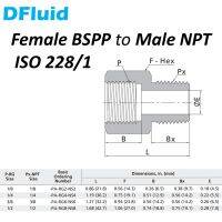 [HOT TAIOPXKWLGLW 585] SS316หญิง BSPP G ISO228/1ถึงชาย NPT อะแดปเตอร์ท่อที่เหมาะสม1/8 1/4 3/8 1/2นิ้วเชื่อมต่อสแตนเลสแทนที่ Swaglok